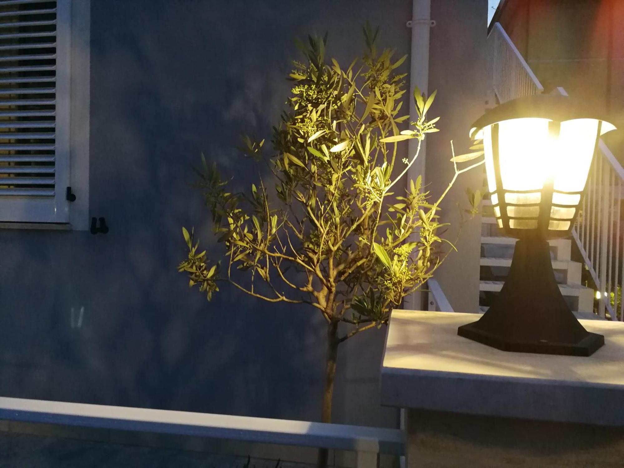 Alcivico3 Bed & Breakfast Civitanova Marche Ngoại thất bức ảnh
